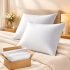 Bsb Home Cloud Cotton King Size Bedsheet | Flatsheet Summer Sheet With Two Pillow Covers | Super Soft Bed Sheet For King Size Bed Durable| Floral Design (270 X 250 Cm, Off White & Lavender Blossom)