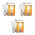 Park Avenue Luxury Perfume Gift Set For Men | 2 X 100Ml | Euphoria | Long Lasting Edp | Ambery Woody | Premium Fragrance